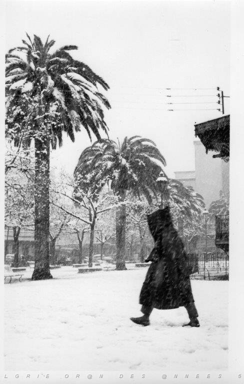 SIDI BEL ABBES 1954 SOUS LA NEIGE  (9).jpg